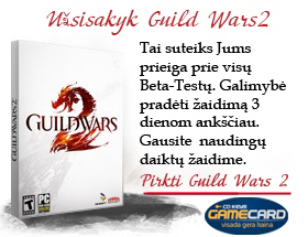 Antra Guild Wars 2 išankstinio užsakymo pirkimo banga