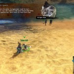 gw2-lost-and-found-guide-refugees-wooden-soldier-4