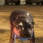 gw2-mini-hippo-calf
