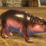 gw2-mini-hippo-calf-2